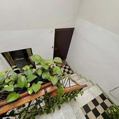 La Consulta A Banchi * روما